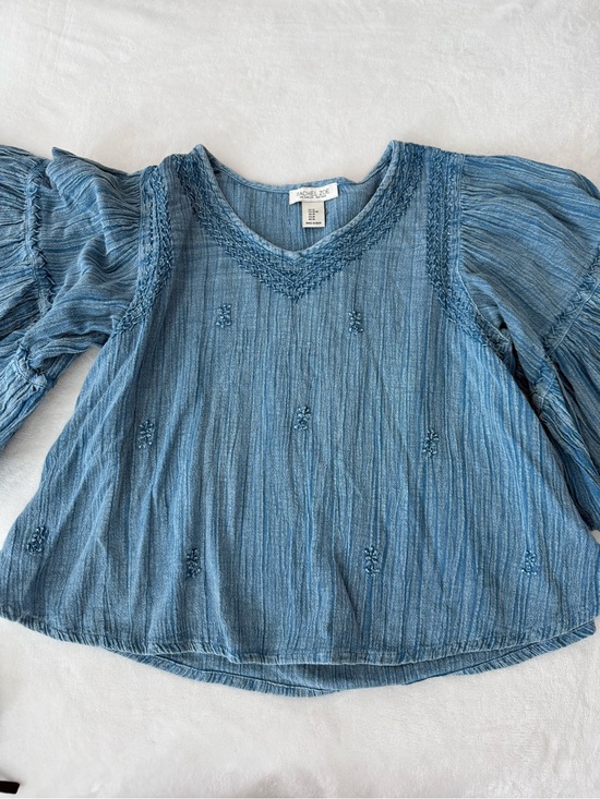 Rachel Zoe Tops - Rachel Zoe BOHO Cropped Relaxed Top Gauze Embroidered Sz M Blue E17